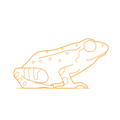 Animals Frogs Outline Svg File, Free Vectors File